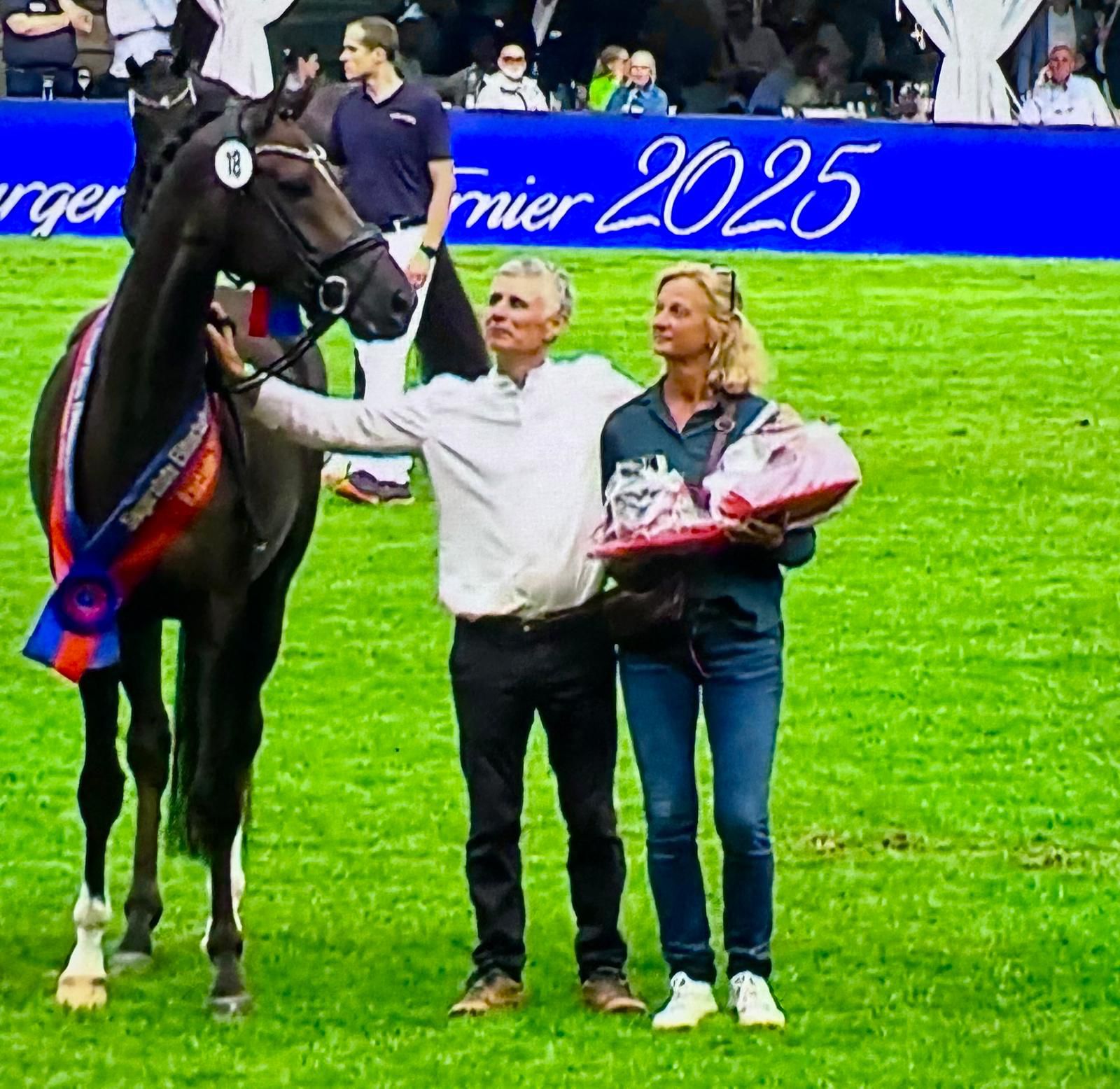 Oldenburger Pferd auf Gut Füchtel